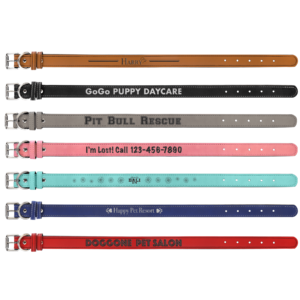 Dog Collar (Large)