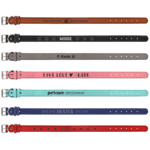 Dog Collar (X-Large)